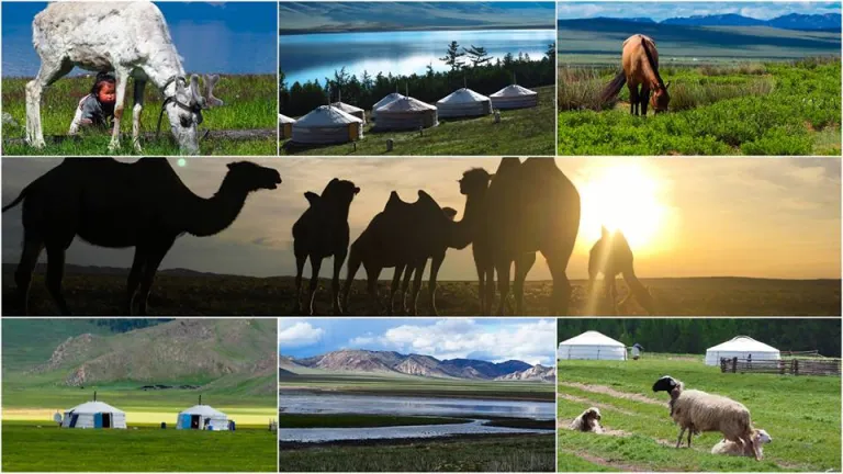 Spotkanie: 'Mongolia - kalejdoskop wrażeń'
