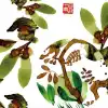 Qigong sztuki – warsztaty malowania spiruliną, kawą, mieloną papryką i kurkumą