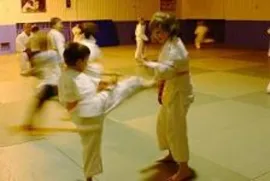 Lekcja karate 