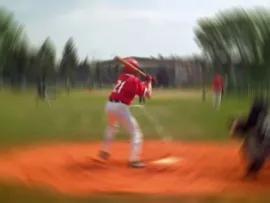 Baseball Polish Style