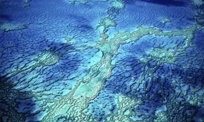 Miejsce 14 Wielka Rafa Koralowa, Australia 