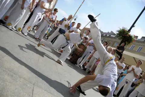 FICAG to grupa capoeira założona i działająca pod przewodnictwem Mestre Museu z siedzibą w Belo Horizonte (Brazylia)