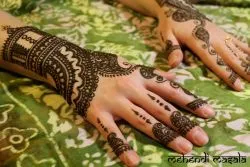 Mehendi Masala 