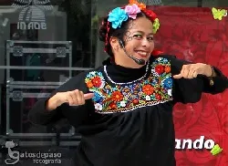 Gala Pun Cata Pun Plas Plas