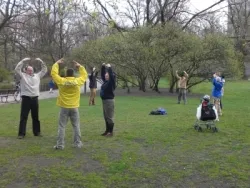Enseignement gratuit des exercices Falun Dafa - Ogród Krasińskich