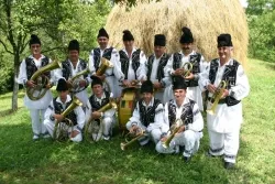 Fanfara z Lăpuşnicul Mare