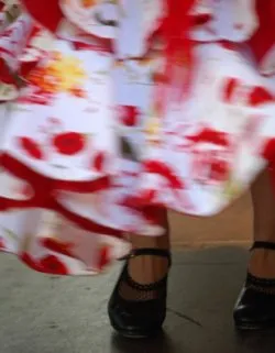 flamenco