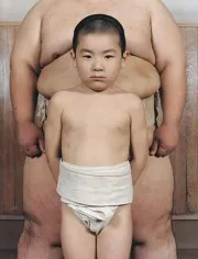 Zawodnicy sumo