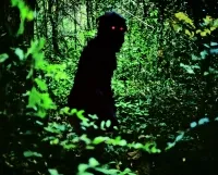 Wujek Boonmee, reż. Apichatpong Weerasethakul