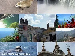 Terra Brasilis