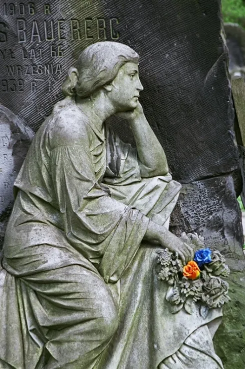 Евангелическо-реформатское кладбище